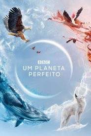 Um Planeta Perfeito